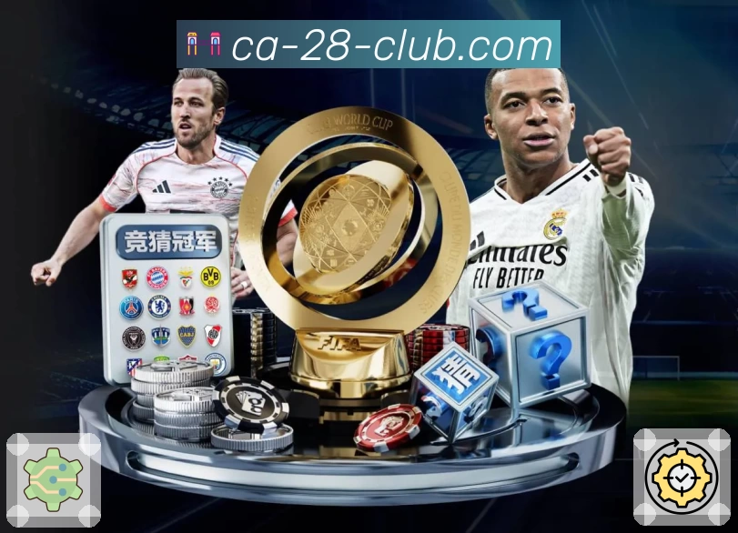 加拿大28介绍图