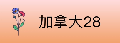 加拿大28 Logo